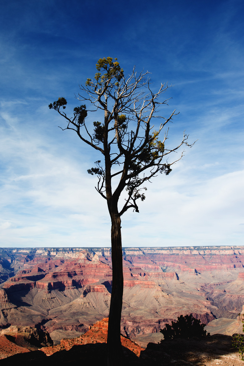 Grand_Canyon-Arizona-Shorts_Levis-Striped_Top-COnverse-Outfit-Denim-6