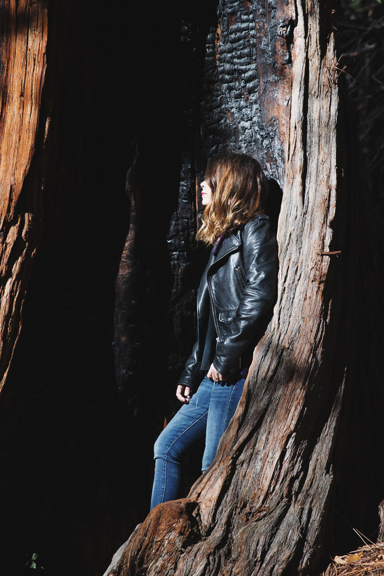 Yosemite-Jeans-Biker_Jacket-Converse-Outfit-Casual_Look-7