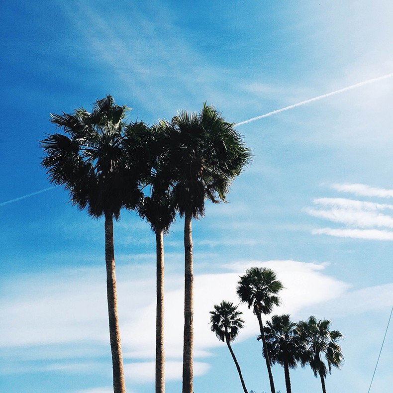 4Coachella-Guide-Travel_Tips-Festival-42