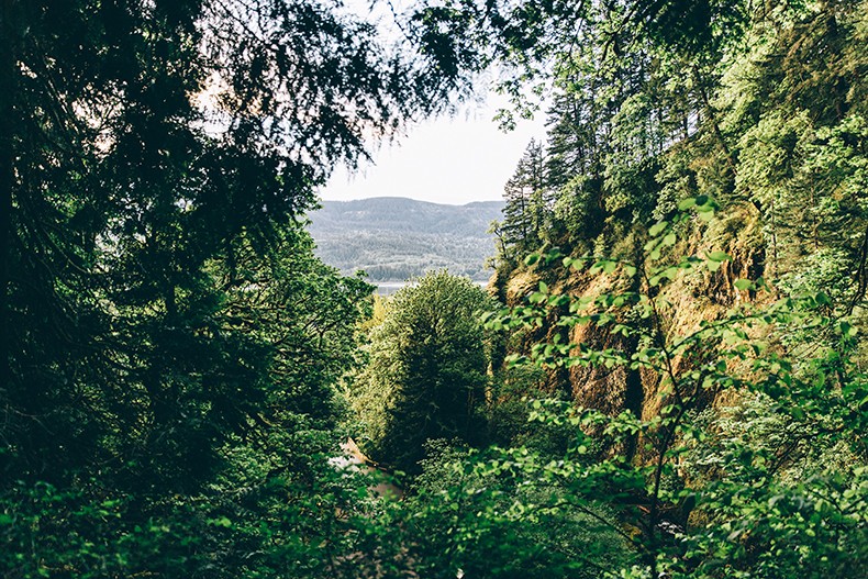 Oregon-Multnomah_Falls-Khaki_Jumpsuit-Denim_Jacket-Lace_Up_Espadrilles-Outfit-Collage_On_The_Road-17