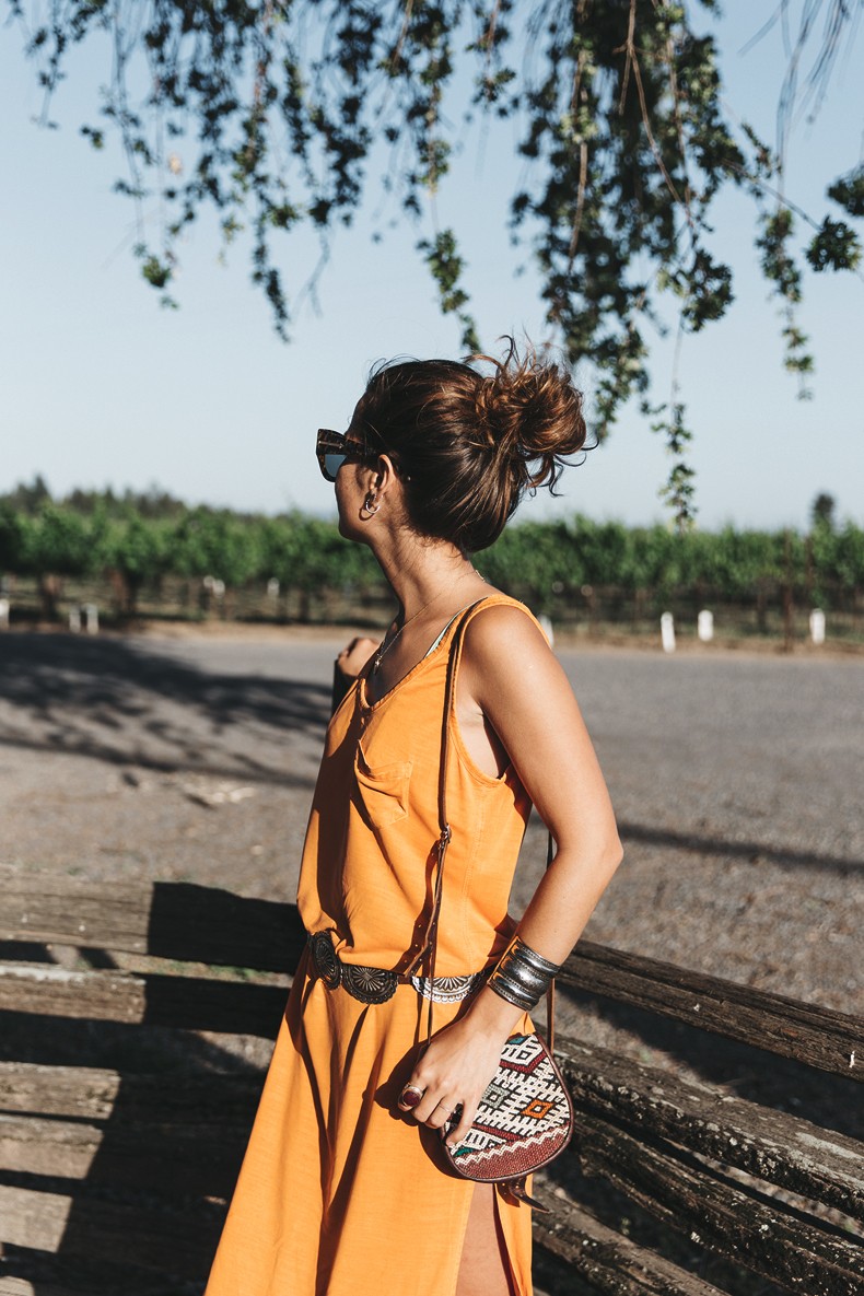 Vineyard-San_Francisco-US_101_Route-Orange_Dress-Polo_Ralph_Lauren-Outfit-Collage_On_The_Road-26