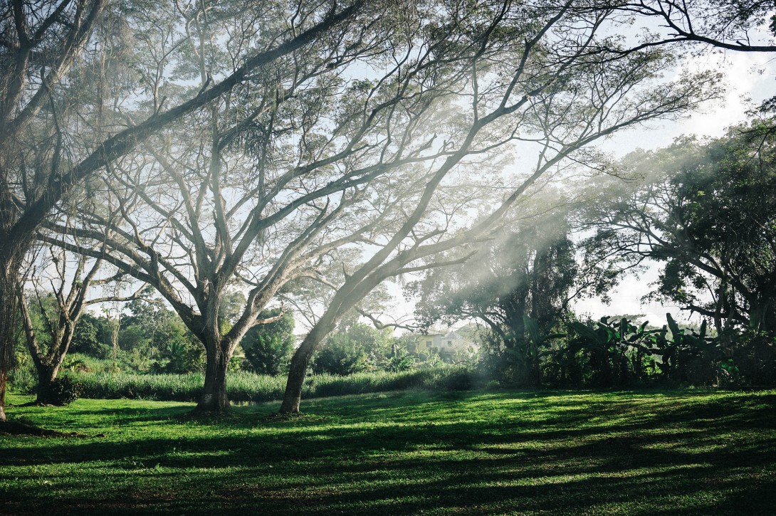 Jamaica-Collage_On_The_Road-Travels-32